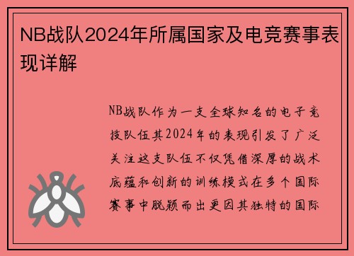 NB战队2024年所属国家及电竞赛事表现详解